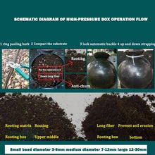 Load image into Gallery viewer, FALSE